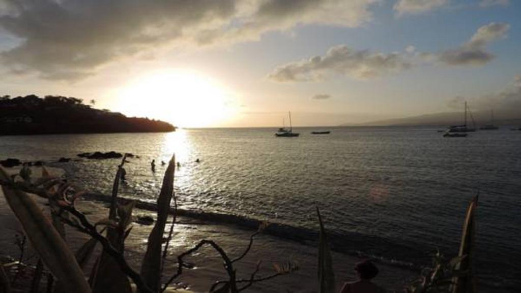Ocean Bayalocation Leilighet L'Anse Mitan Eksteriør bilde